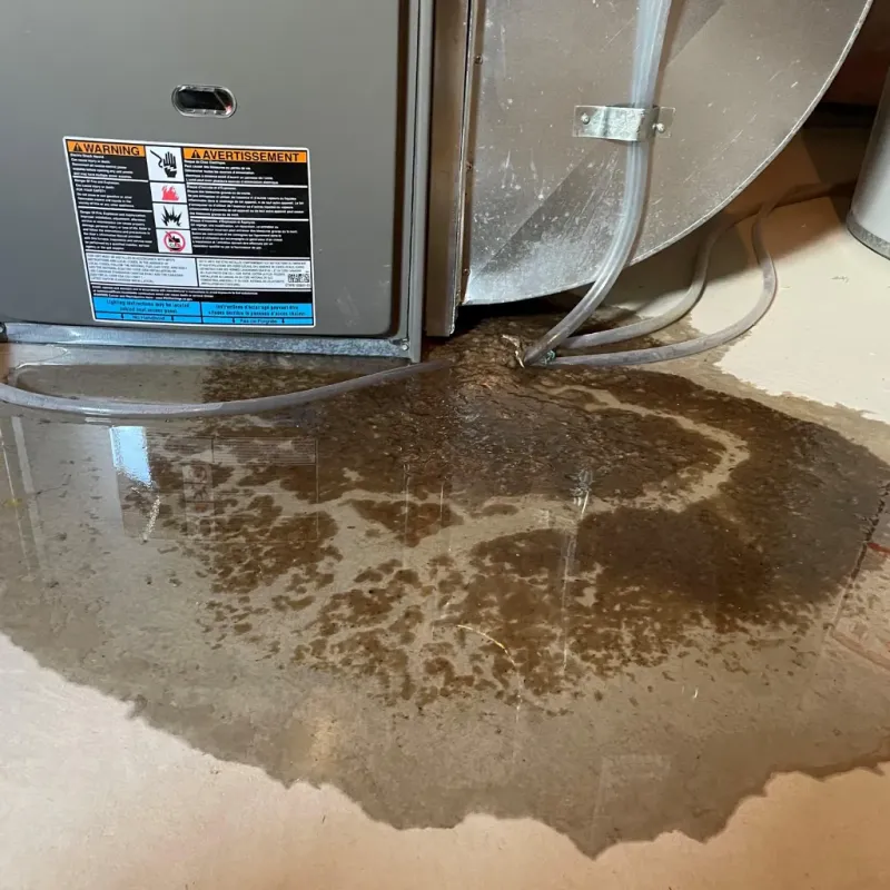 Appliance Leak Cleanup in Imlay City, MI