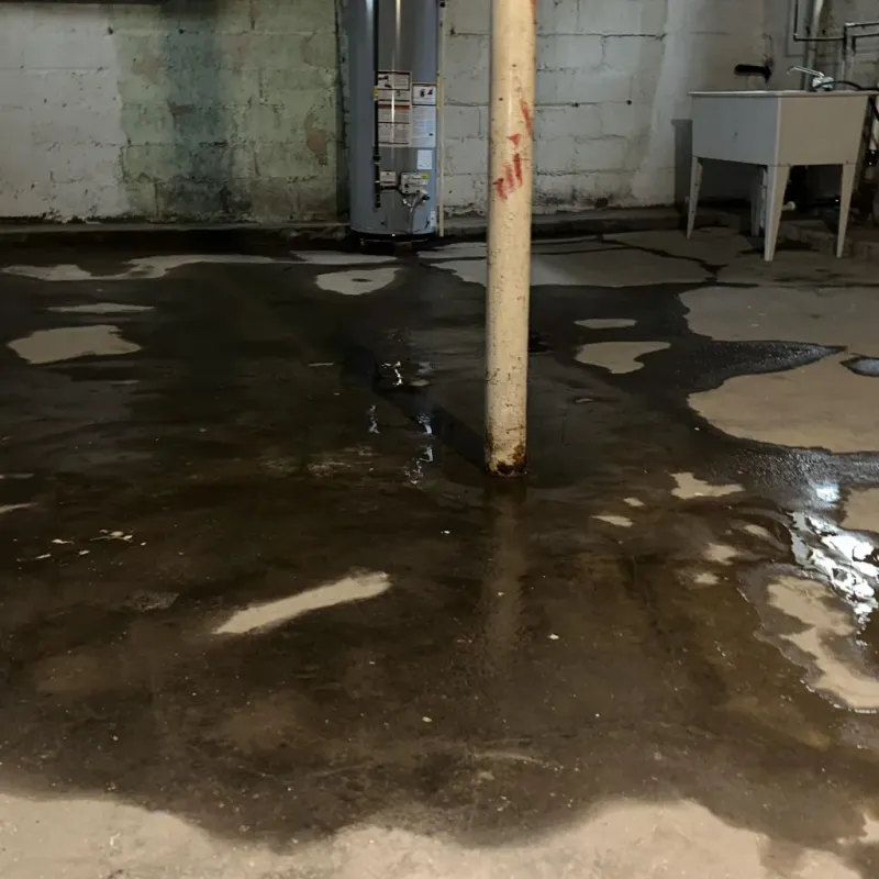Emergency Water Extraction And Removal in Imlay City, MI
